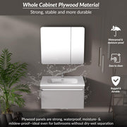 Plantex Vanity for Bathroom/Rectangle Cabinet with Wash Basin and Mirror/Bathroom Organizer for Home - (NZBC-08)