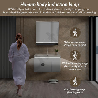 Plantex Unbrekable Wash Basin with Cabinet/Plywood Rectangle Vanity with Basin/Bathroom Organizer for Home with Coupling, Mirror and Cabinet Motion Sensor Light (NZBC-45)