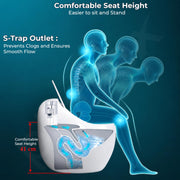 Plantex Imported Platinum Ceramic Western Commode/S Trap Siphonic Vaccum Jet Flush/Rimless One Piece Commode with Soft Close Seat Cover (White)