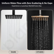 Plantex Stainless Steel Overhead Shower 6 x 6 inch with Water-Saving Technology/High pressure Rain Shower Head without Arm/Bathroom Shower -(Ultra Slim-PVD Black)
