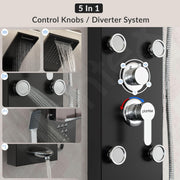 Plantex 304 Grade Stainless Steel Shower Panel/6 in 1 Shower System/Rainfall Showerhead with Handshower for Bathroom/Tub Spout/Body Massage Spray With Hot &cold Mixer-(1016, Black)