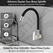 Plantex Brass Flexible Tap for Kitchen Sink with Wall Flange and Teflon Tape/360Â° Rotating Sink Tap for Kitchen Basin with Water Saving Aerator - (6319, Chrome)