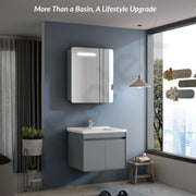 Plantex Vanity for Bathroom/Square Cabinet with Wash Basin and Mirror/Bathroom Organizer for Home - (NZBC-40)