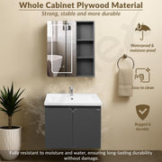 Plantex Vanity for Bathroom/Rectangle Cabinet with Wash Basin and Mirror/Bathroom Organizer for Home - (NZBC-30)