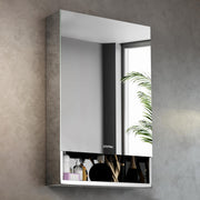 Plantex Premium 304 Stainless Steel Bathroom Mirror Cabinet with Lower Shelf/Bathroom Organiser/Bathroom Mirror with Storage/Bathroom Shelf with Mirror/Bathroom Accessories (20x32 Inch-Chrome)