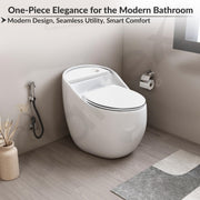 Plantex Imported Platinum Ceramic One Piece Commode Toilet/ Rimless Commode/ Siphonic Flush Western Toilet with Soft Close Toilet Seat - S Trap (White)