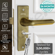 Plantex Heavy-Duty Door Lock Set - Main Door Lock Handle Set/Mortise Lock with 3 Keys, Brass Lock Body & Cylinder (8121 - Brass Antique & PVD Gold)