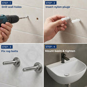 Plantex 10MM Stainless Steel Basin Fastener Set/Heavy Duty Rag/Rack Bolt with Nut/ Washer & Nylon Rawl Plug/Wash Basin/Water Heater/TV Mount & Cabinet Wall Fixing