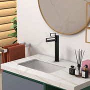 Plantex Pure Brass Wash Basin Tap/Pillar Cocke for Basin/Faucet for Wash Basin-(7881-Matt Black)