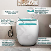 Plantex Ceramic Western Commode/Floor Mount Commode for Toilet/Rimless Siphonic One Piece Western Toilet- S Trap Outlet (White & Ocean Blue)