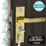 Plantex Heavy-Duty Door Lock Set - Main Door Lock Handle Set/ 6-Lever Lock Mechanism with 3 Years of Warranty/Mortise Lock with 3 Keys, Brass Lockbody & Cylinder(8114 - Brass Antique & PVD Gold)