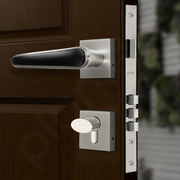 Plantex Main Door Lock/Mortise Lock for Doors - Robust Door Handle for Home with Brass Locks Body & Cylinder (PT-014, Satin & Black)