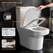 Plantex Ceramic Commode for Toilet/One Piece Western Toilet with 6D Siphonic Flush/Commode with Soft Closing Toilet Seat - S Trap - (ASTA, White)