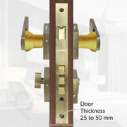 Plantex Premium Door Lock with 3 Years of Warranty/Main Door Lock for Home/Mortise Lock for Door - Main Door Lock Set(7116 - PVD Gold & Brass Antique)