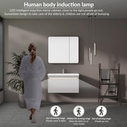 Plantex Vanity for Bathroom/Rectangle Cabinet with Wash Basin and Mirror/Bathroom Organizer for Home - (NZBC-08)