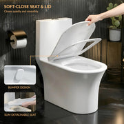 Plantex Ceramic Commode For Toilet/One Piece Western Commode With Rimless Siphonic Flush/Commode With Soft Closing Toilet Seat - S Trap - (Hexa, White)