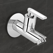 Plantex Pure Brass Bib Tap for Bathroom with Water-Saving Technology Taps/Wall Mount Bib Cock with Wall Flange and Teflon Tape-7 Year Warranty by Plantex (PRI-301 -Chrome Finish)