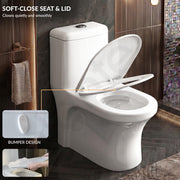 Plantex Siphonic Flush System Ceramic Commode/S Trap Western Toilet with Siphonic Vacuum Flush/One Piece Western Commode With Soft Close Toilet Seat  (White - Ukrain)