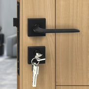 Plantex Main Door Lock/Mortise Lock for Door with 3 Years of Warranty - Robust Door Lock for Home with Brass Lock Body & Cylinder(7105 - Black)