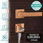 Plantex Triple Security Door Lock for Home/Main Door Lock Set with 3 Years of Warranty/Mortise Lock for Door with Brass Lock Body & Cylinder(7107 - PVD Choco)