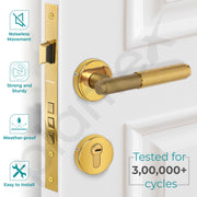 Plantex Premium Door Lock with 3 Years of Warranty/Main Door Locks for Home/Mortise Lock Set for Door (PVD Gold)
