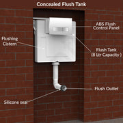 Plantex Concealed Tank for Commode/Cistern Flush Tank for Toilet  with 8 LTR Capacity/Flushing Cistern Tank/Slim and Stylish Dual Flush Tank with All Internal Accessories - Pack of 1 (White)