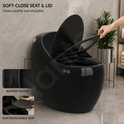 Plantex Imported Western Commode/Rimless Siphonic Vaccum Flush/One Piece Floor Mounted Commode with Soft Close Toilet Seat Cover - S Trap Outlet ( Black )