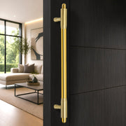 Plantex 18 Inch Main Door Handle/Pull-Push Handle for Main Door/Stainless Steel Handle for Home&Office/Hotel - Pack of 1 (Brass Antique & PVD Gold)