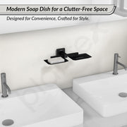 Plantex Stainless Steel Double Soap Holder for Bathroom/Soap Case/Dual Soap Dish/Bathroom Accessories - Aqua (Black)
