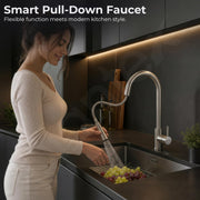 Plantex 304 Stainless Steel Pull-Down Kitchen Sink Tap/Sink Tap for Kitchen Basin with 360⁰ Swivel Spout/Kitchen Sink Faucet - (1062, Matt)