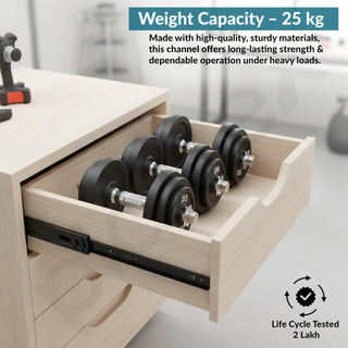 Plantex Drawer Channel/Ball Bearing Regular Close Slider Drawer Channel for Home, Kitchen & Wardrobe/Channel for Drawer (12-Inch,Black) z