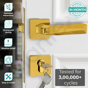 Plantex Premium Door Lock with 3 Years of Warranty/Main Door Locks/Mortise Lock Set for Home (PT-013, Gold)