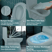 Plantex Platinum Ceramic One Piece Western Toilet /Rimless Washdown Commode for Toilet/Commode With Soft Close Toilet Seat - S Trap Outlet (Ocean)