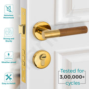 Plantex Premium Door Lock with 3 Years of Warranty/Main Door Lock for Home/Mortise Lock for Door - Main Door Lock Set (PVD Gold & Wood Finish)
