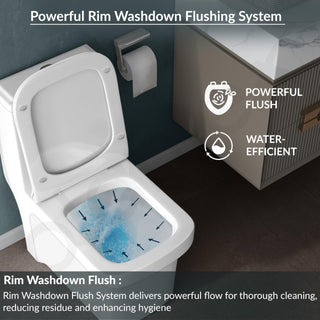 Plantex Commode for Toilet/One Piece Western Toilet with Rim Wash-Down Flush/Ceramic One Piece Commode with Soft Closing Toilet Seat - S Trap - (Lunar, White)