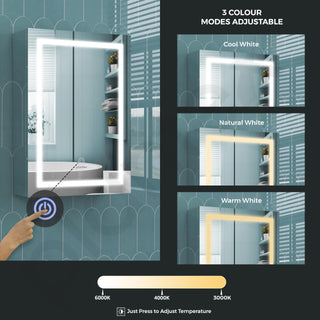 Plantex Premium 304 Stainless Steel Bathroom Cabinet with LED Mirror/Bathroom Organiser/Bathroom Shelf for Wall with Mirror (14x20 Inch-LED/Chrome)