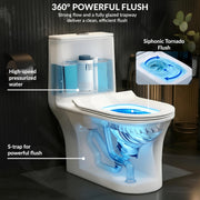 Plantex Ceramic Commode For Toilet/One Piece Western Commode With Rimless Siphonic Flush/Commode With Soft Closing Toilet Seat - S Trap - (Hexa, White)