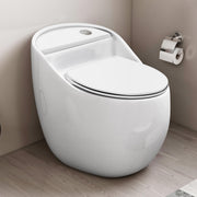 Plantex Imported Platinum Ceramic One Piece Commode Toilet/ Rimless Commode/ Siphonic Flush Western Toilet with Soft Close Toilet Seat - S Trap (White)