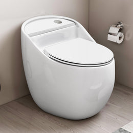 Plantex Imported Platinum Ceramic One Piece Commode Toilet/ Rimless Commode/ Siphonic Flush Western Toilet with Soft Close Toilet Seat - S Trap (White)