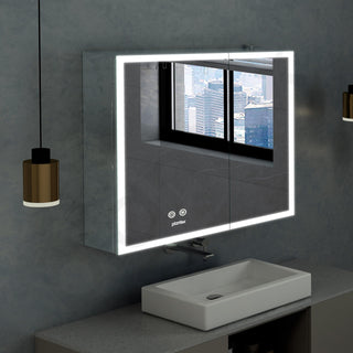 Plantex Luxury LED Mirror Cabinet for Bathroom/304 Grade Stainless Steel Bathroom Cabinet/Mirror for Bathroom with Double Door Cabinet (24x24 Inch-LED & Defogger/Chrome)