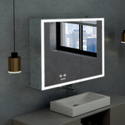 Plantex Luxury LED Mirror Cabinet for Bathroom/304 Grade Stainless Steel Bathroom Cabinet/Mirror for Bathroom with Double Door Cabinet (24x24 Inch-LED & Defogger/Chrome)