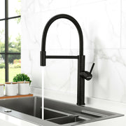 Plantex Brass Sink Tap for Kitchen Basin/360Ãƒâ€šÃ‚Â° Swivel Spout Kitchen Faucet with Double Handle| Spring Pull Out Tap for Kitchen Sink-(8982-Black)