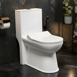 Plantex Platinum Ceramic Rimless One Piece Western Toilet/Commode for Toilet/Washdown Flush Commode With Soft Close Toilet Seat - S Trap Outlet (White)