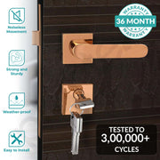 Plantex Polished Brass Heavy Duty Door Lock - Main Door Lock Set with 3 Keys/Mortise Door Lock Knob for Home/Office/Hotel (7110 - Pvd Choco)