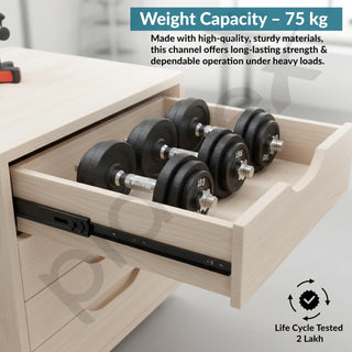 Plantex Drawer Channel/Regular Smooth & Quiet Close Ball Bearing Slider Drawer Channel for Home, Kitchen & Wardrobe/Telescopic Channel for Drawer/for Wooden & Metals Drawers (22-Inch,Black) Pair