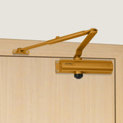 Plantex Premium Door Closer/55 kg Automatic Door Closer for Wooden Door/Wide 180 Degree Opening Door Closer for Home/Hotel/Office- Golden (ISO 9001 Certified)