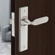 Plantex Heavy Duty Door Lock ÃƒÂ¢Ã¢â€šÂ¬Ã¢â‚¬Å“ Bathroom Door Lock/Mortise 8inch Keyless Plate Handle Set for Home/Bathroom/Store Room/Balcony/Office with Baby Latch (8106, Matt)