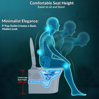 Plantex Platinum Rimless Wall Hung Western Commode/Washdown Bathroom Commode/P Trap Western Toilet with Soft Close Toilet Seat Cover (Ocean)