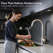 Plantex Pull-Down Kitchen Sink Tap/304 Stainless Steel Sink Tap for Kitchen Basin with 360â° Swivel Spout/Kitchen Sink Faucet- (1062, Matt)