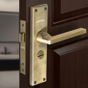 Plantex Stainless Steel Door Lock Ã¢â‚¬â€œ Bathroom Door Lock/Mortise 8inch Keyless Plate Handle Set for Home/Bathroom/Store Room/Balcony/Office - Pack of 1 (DTM-660, Brass Antique)